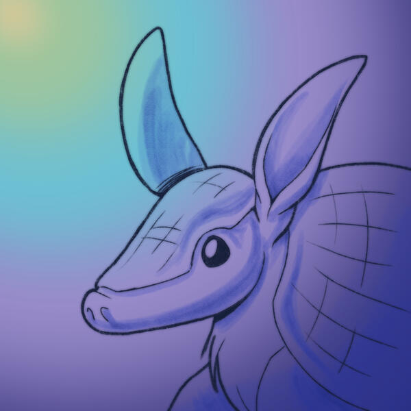 Sketch Sketch